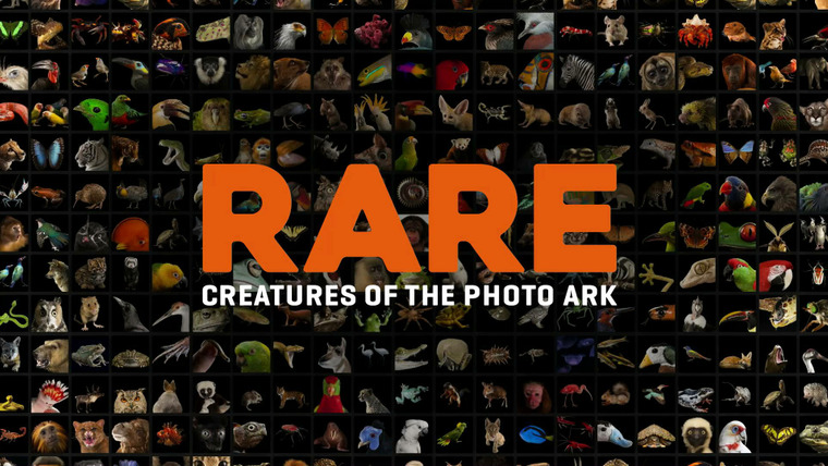 Show Rare: Creatures of the Photo Ark