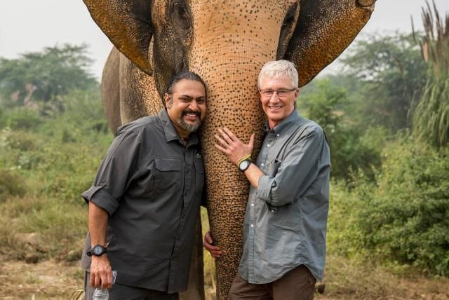 Show Paul O'Grady: For the Love of Animals - India