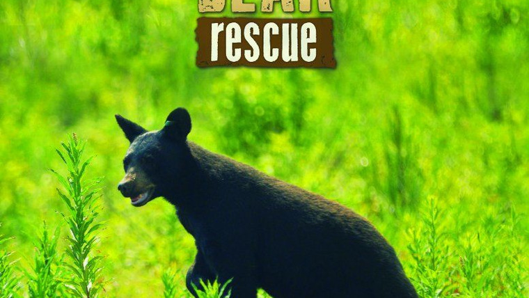 Сериал Wild Bear Rescue