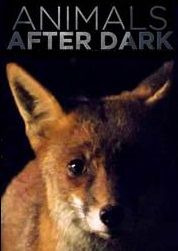 Сериал Animals After Dark