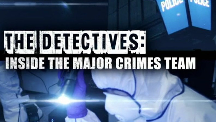 Сериал The Detectives: Inside the Major Crimes Team