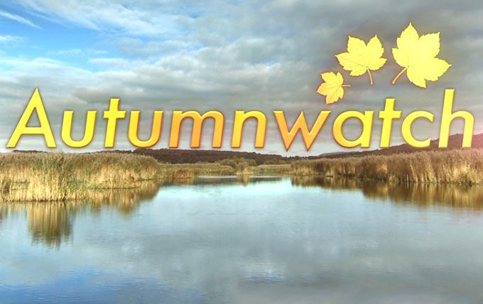 Сериал Autumnwatch