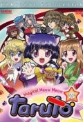 Anime Magical Meow Meow Taruto