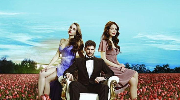 Сериал Пора тюльпанов