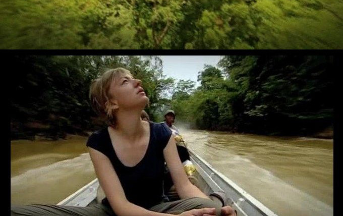 Сериал BBC: Тропический рай Борнео