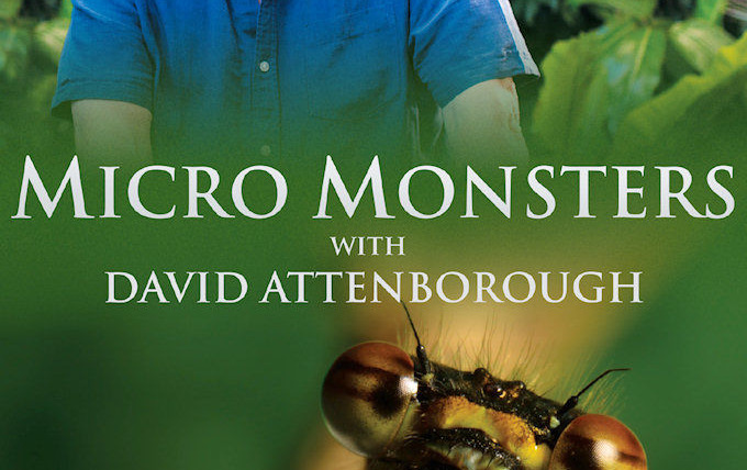 Show Micro Monsters with David Attenborough
