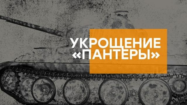 Сериал Укрощение «Пантеры»