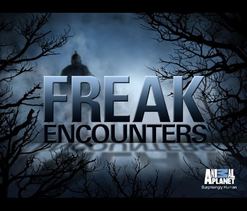 Сериал Freak Encounters