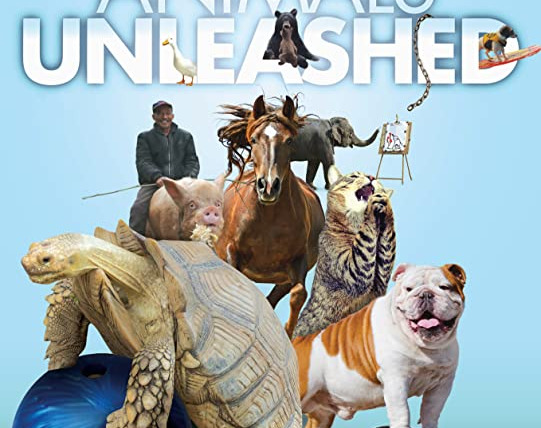 Show Animals Unleashed