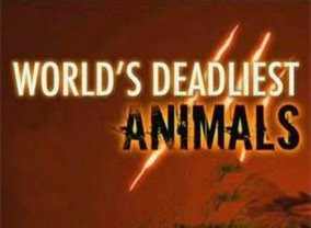 Сериал World's Deadliest Animals
