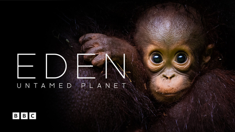 Show Eden: Untamed Planet