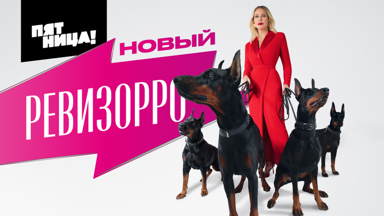 Сериал Новый Ревизорро