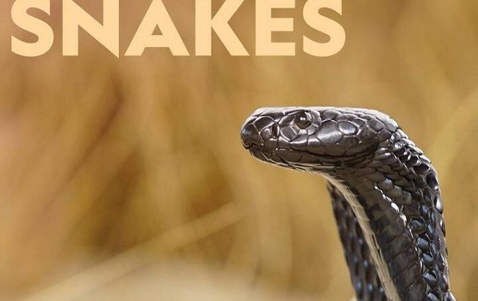 Show World's Deadliest Snakes
