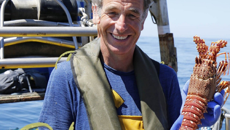 Сериал Robson Green: Coastal Fishing