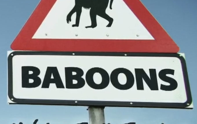 Show Baboons with Bill Bailey