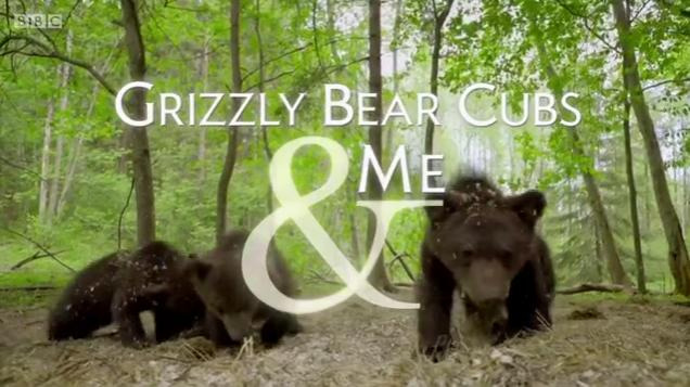 Сериал BBC: Бурые медвежата и я	