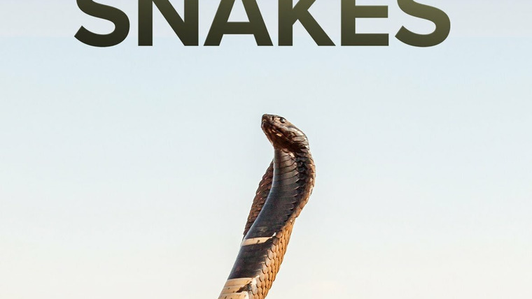 Сериал Extreme Snakes