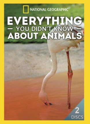 Сериал Everything You Didn't Know About Animals
