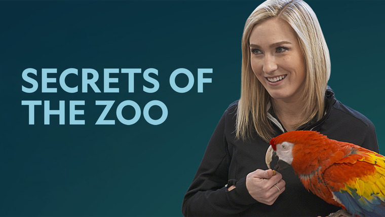 Сериал Secrets of the Zoo