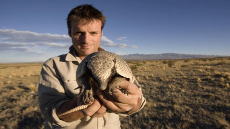 Сериал Необычные животные Ника Бейкера