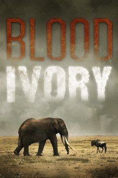 Show Blood Ivory