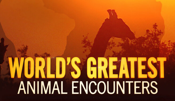 Сериал World's Greatest Animal Encounters