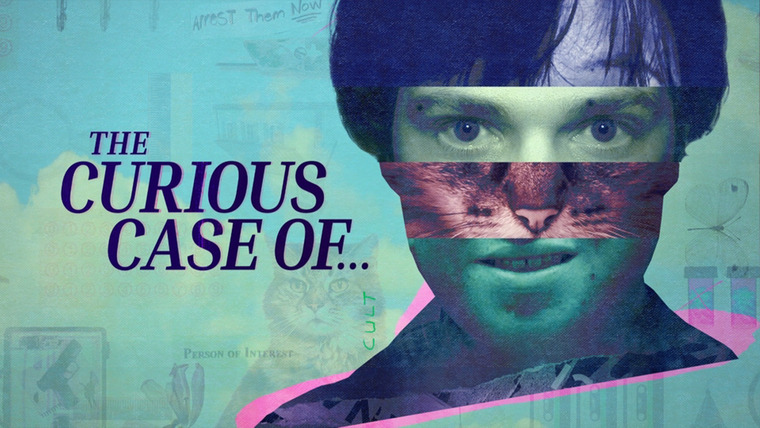 Сериал The Curious Case Of…