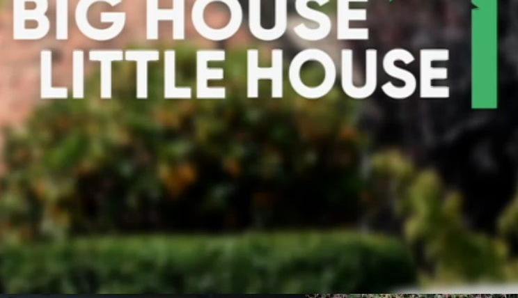 Сериал Big House, Little House