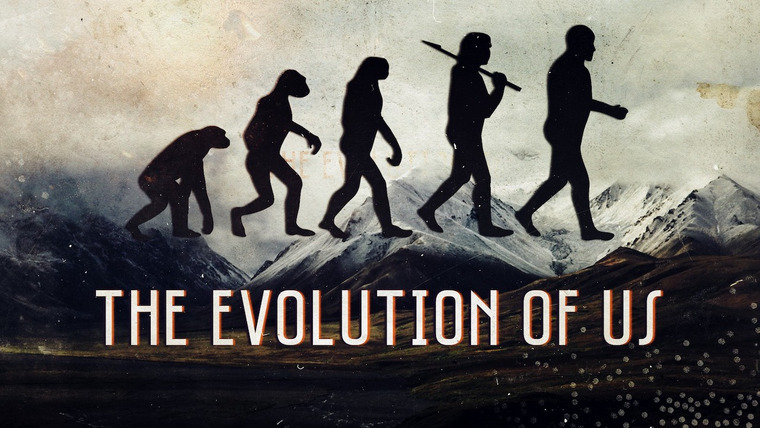 Наша эволюция