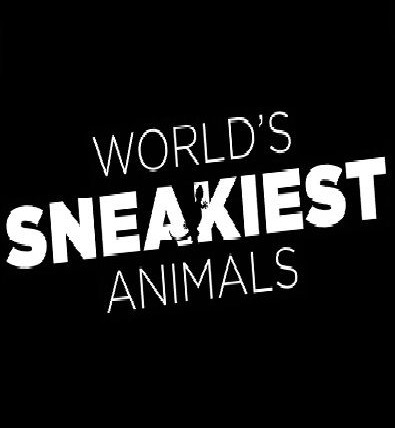 Сериал World's Sneakiest Animals