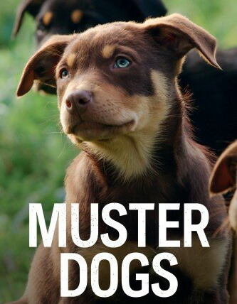 Сериал Muster Dogs