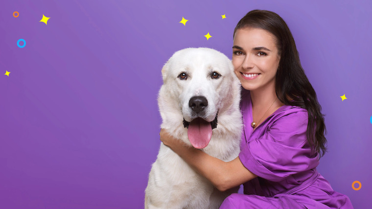 Сериал Лучший пёс