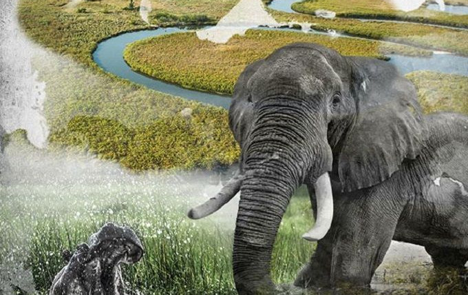 Show Okavango: River of Dreams