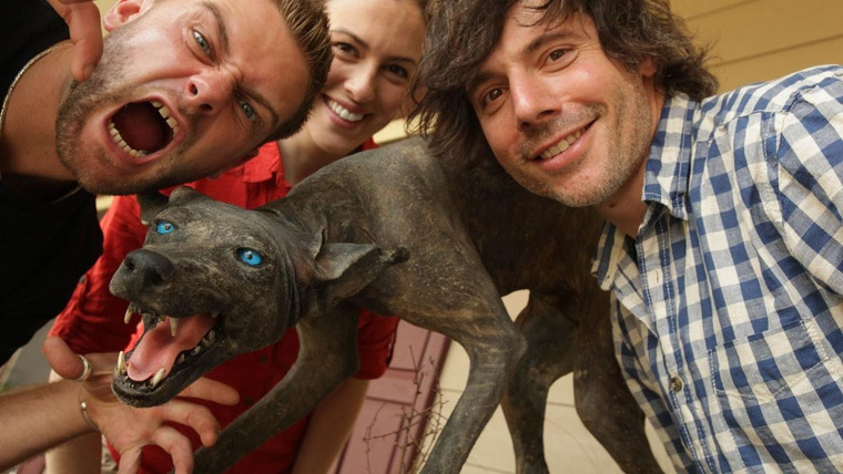 Сериал Wild Scene Investigation