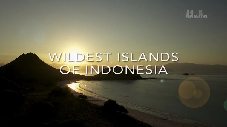 Сериал Wildest Islands of Indonesia