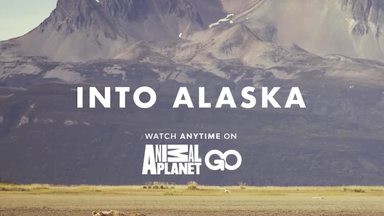 Сериал Заповедная Аляска 