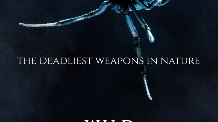Сериал Wild Assassins