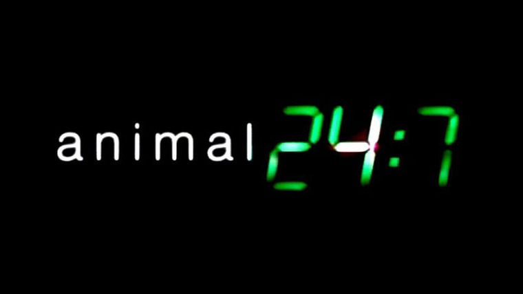 Show Animal 24:7