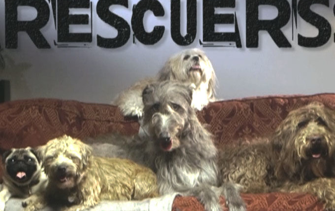 Show The Dog Rescuers with Alan Davies