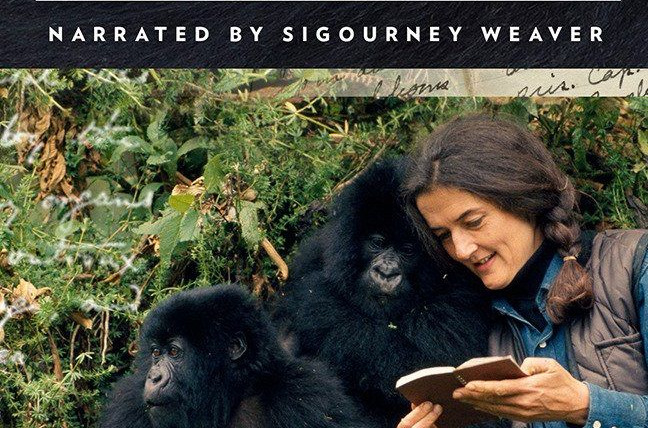 Сериал Dian Fossey: Secrets in the Mist