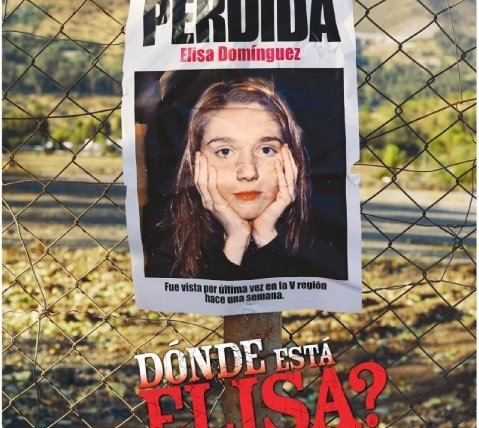 Сериал Без вести пропавшая