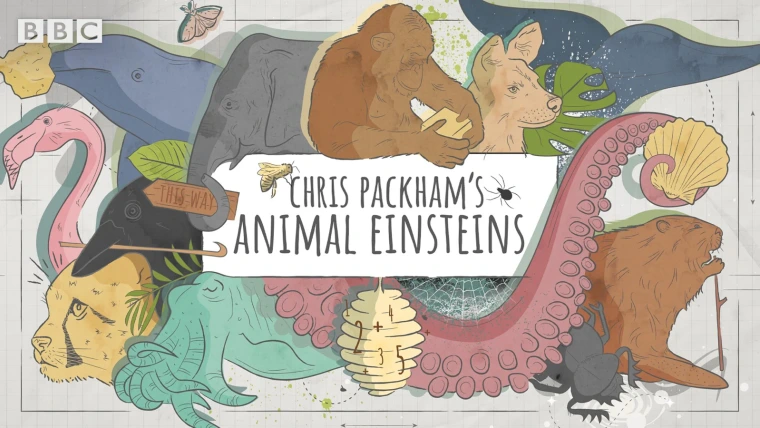Show Chris Packham's Animal Einsteins