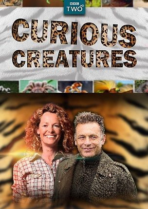 Сериал Curious Creatures