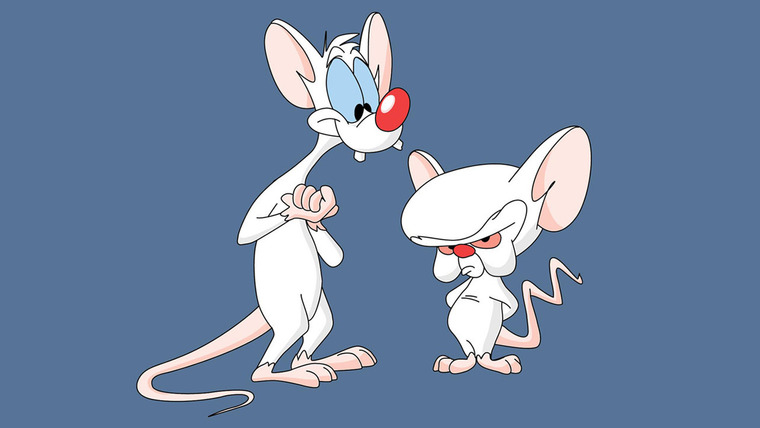 Show Pinky and the Brain