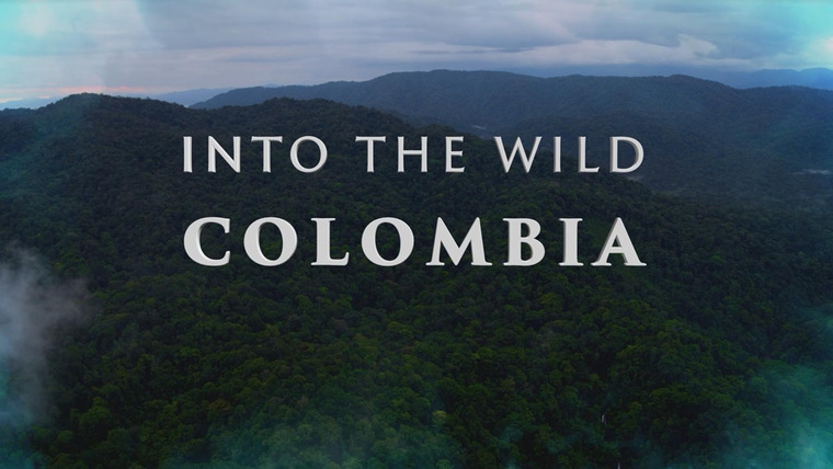 Show Into the Wild Colombia