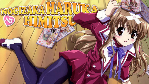 Haruka Nogizaka's Secret