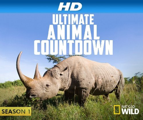 Show Ultimate Animal Countdown