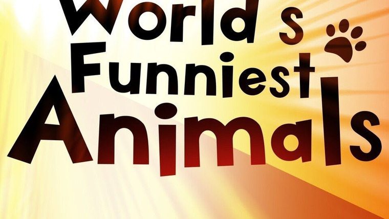 Сериал World's Funniest Animals