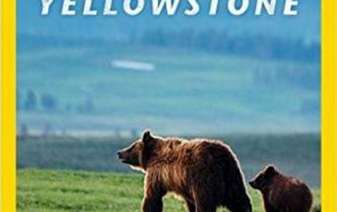 Сериал Wild Yellowstone