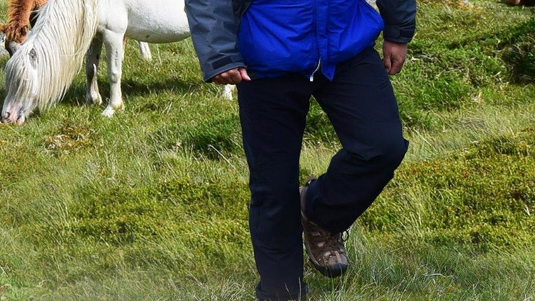 Show Weatherman Walking